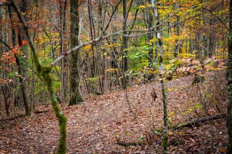 1580 Galloway Road Blue Ridge GA 30513