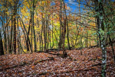 1580 Galloway Road Blue Ridge GA 30513