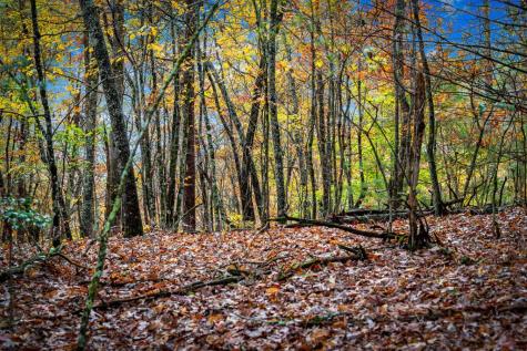 1580 Galloway Road Blue Ridge GA 30513