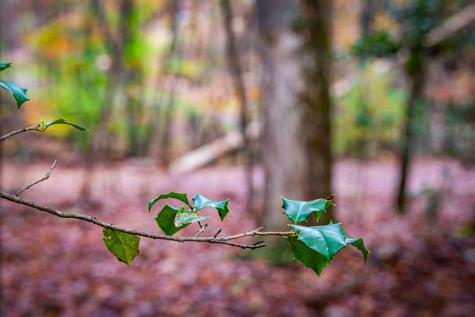 1580 Galloway Road Blue Ridge GA 30513