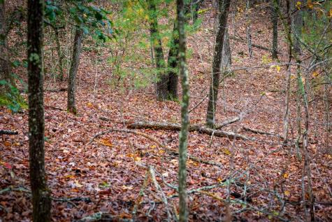 1580 Galloway Road Blue Ridge GA 30513