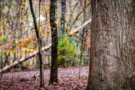 1580 Galloway Road Blue Ridge GA 30513