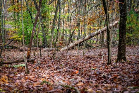 1580 Galloway Road Blue Ridge GA 30513