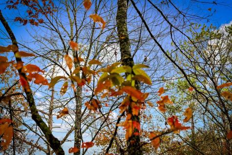 1580 Galloway Road Blue Ridge GA 30513