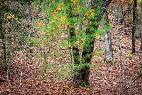 1580 Galloway Road Blue Ridge GA 30513