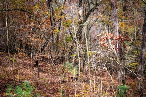 1580 Galloway Road Blue Ridge GA 30513