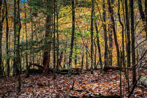 1580 Galloway Road Blue Ridge GA 30513