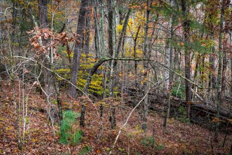 1580 Galloway Road Blue Ridge GA 30513