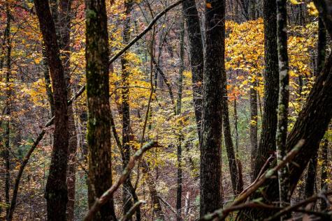 1580 Galloway Road Blue Ridge GA 30513