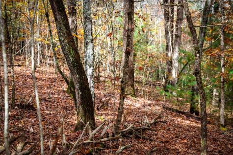 1580 Galloway Road Blue Ridge GA 30513