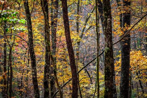 1580 Galloway Road Blue Ridge GA 30513