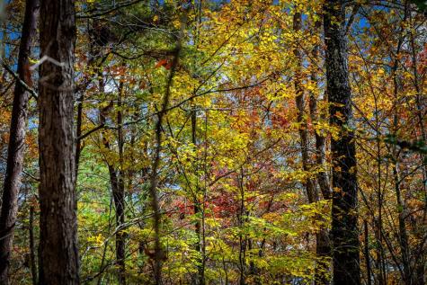 1580 Galloway Road Blue Ridge GA 30513