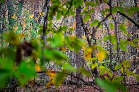 1580 Galloway Road Blue Ridge GA 30513