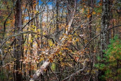 1580 Galloway Road Blue Ridge GA 30513