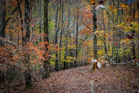 1580 Galloway Road Blue Ridge GA 30513