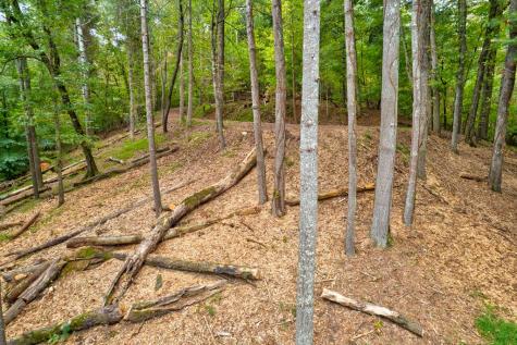 Lt 102r Ponca Court Ellijay GA 30540