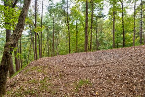 Lt 102r Ponca Court Ellijay GA 30540