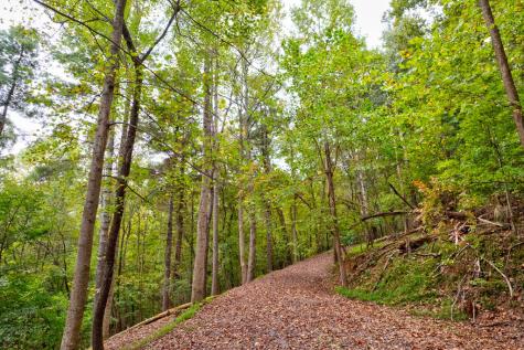 Lt 102r Ponca Court Ellijay GA 30540