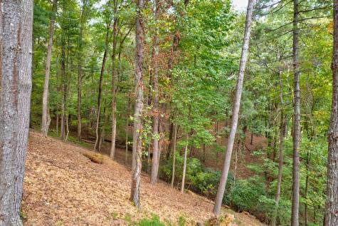 Lt 102r Ponca Court Ellijay GA 30540