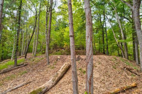 Lt 102r Ponca Court Ellijay GA 30540