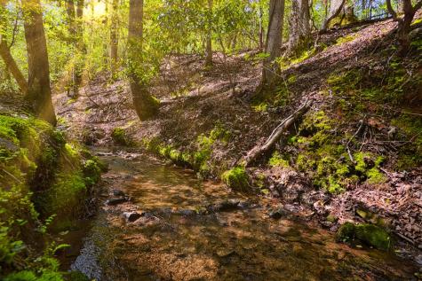 Lt 102r Ponca Court Ellijay GA 30540