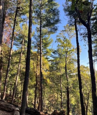 Lt 102r Ponca Court Ellijay GA 30540