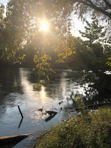 Lt 102r Ponca Court Ellijay GA 30540