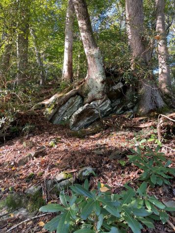 Lt 102r Ponca Court Ellijay GA 30540