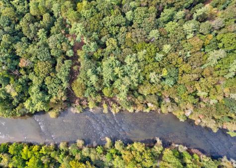 Lt 102r Ponca Court Ellijay GA 30540