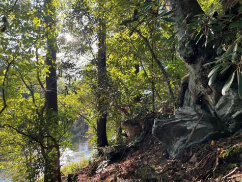 Lt 102r Ponca Court Ellijay GA 30540