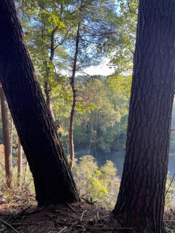 Lt 102r Ponca Court Ellijay GA 30540