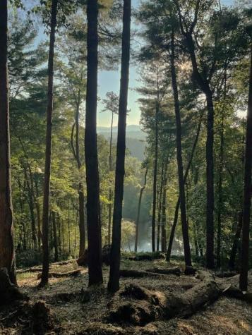 Lt 102r Ponca Court Ellijay GA 30540