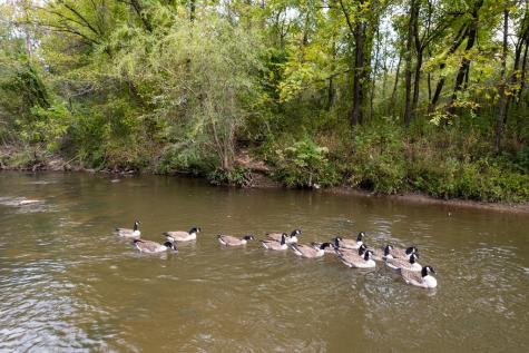 Lt 102r Ponca Court Ellijay GA 30540