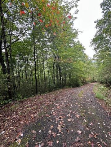 Lot 7 Sequoia Hills Lane Clayton GA 30525