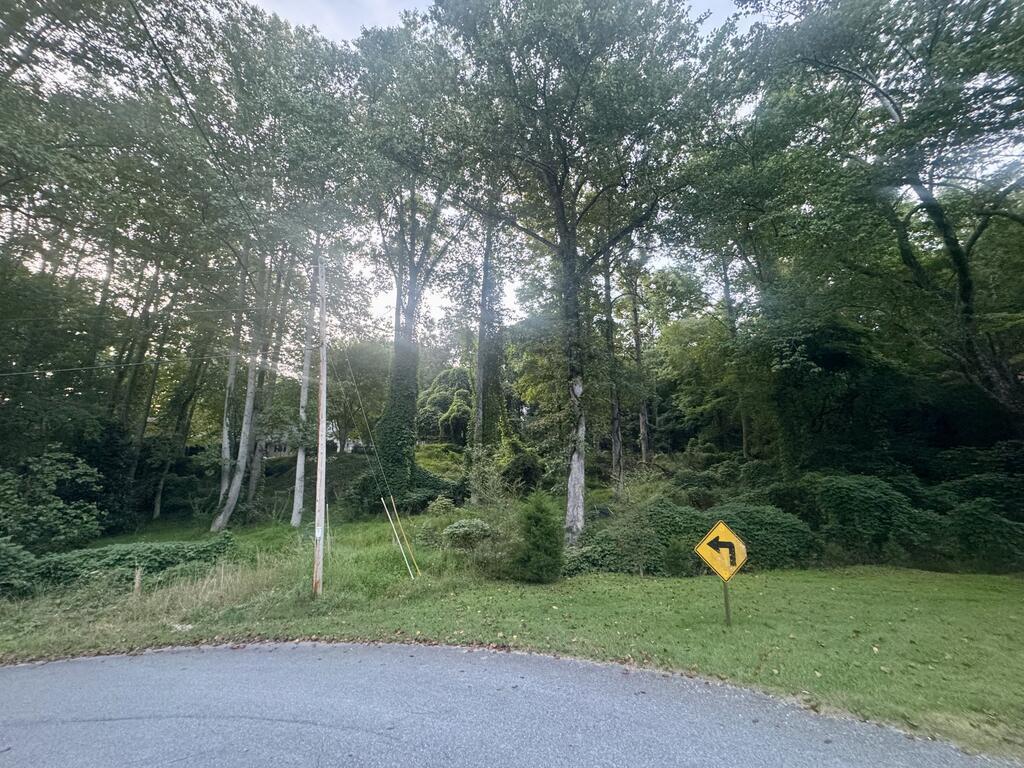 Lt 53 Circle Drive Morganton GA 30560