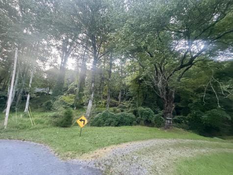 Lt 53 Circle Drive Morganton GA 30560