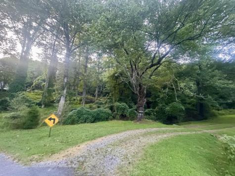Lt 53 Circle Drive Morganton GA 30560