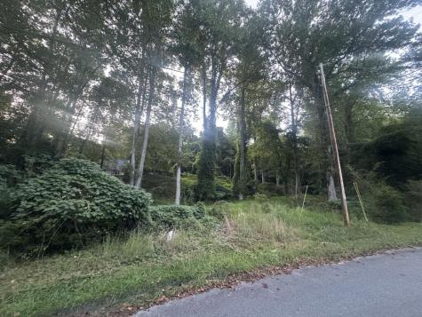 Lt 53 Circle Drive Morganton GA 30560