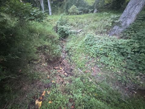 Lt 53 Circle Drive Morganton GA 30560
