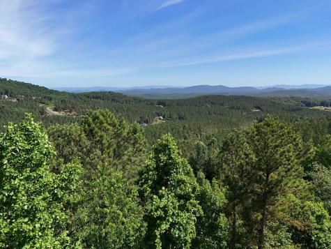 Lot 72 Thirteen Hundred Blairsville GA 30512