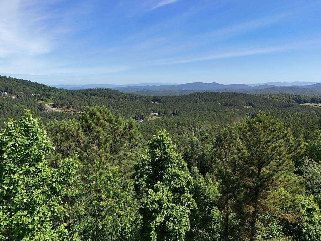 Lot 72 Thirteen Hundred Blairsville GA 30512