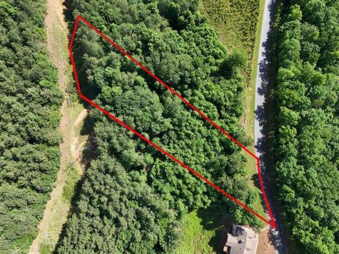 Lot 72 Thirteen Hundred Blairsville GA 30512