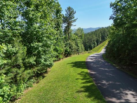 Lot 72 Thirteen Hundred Blairsville GA 30512