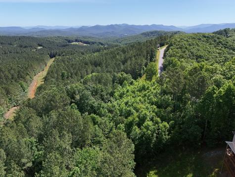 Lot 72 Thirteen Hundred Blairsville GA 30512