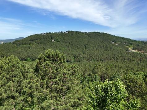 Lot 72 Thirteen Hundred Blairsville GA 30512