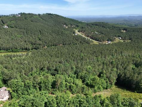 Lot 72 Thirteen Hundred Blairsville GA 30512