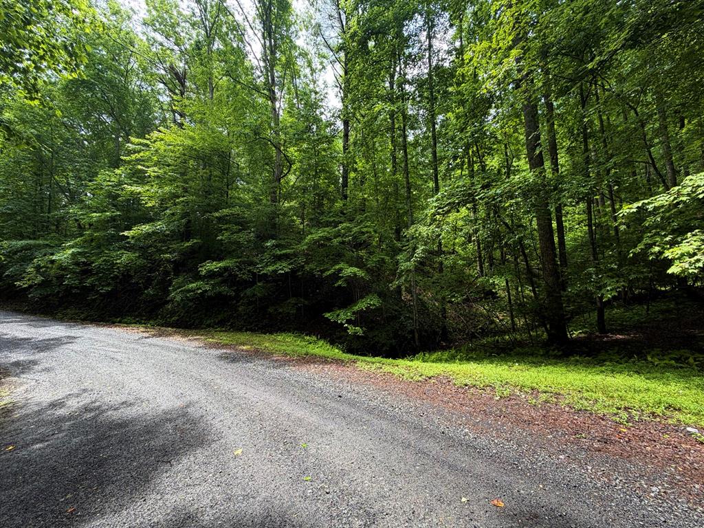 Lt 144 Alcan Way Ellijay GA 30450