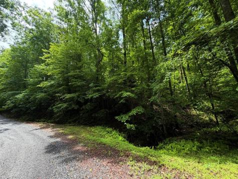 Lt 144 Alcan Way Ellijay GA 30450