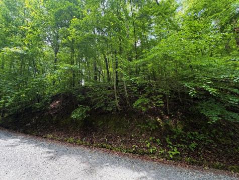 Lt 144 Alcan Way Ellijay GA 30450