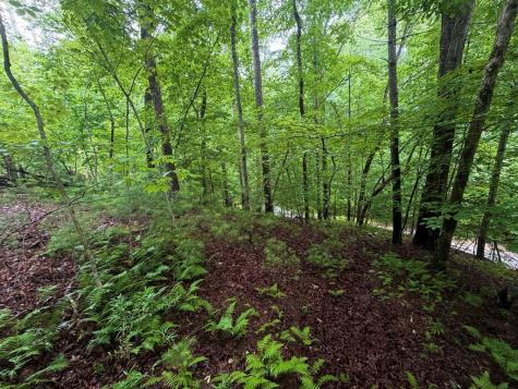 Lt 144 Alcan Way Ellijay GA 30450